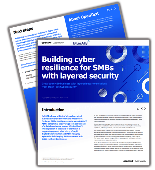 BlueAlly OpenText eBook